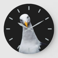 Seagull