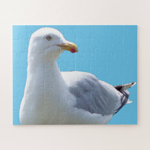 Seagull Laying Down Acrylic Jigsaw Puzzle