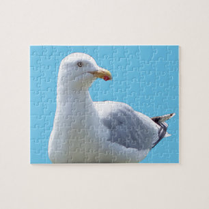 Seagull Laying Down Acrylic  Jigsaw Puzzle