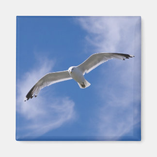 Seagull Magnet