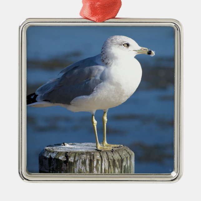 Seagull Metal Tree Decoration (Front)