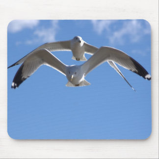 Seagull Mousepad