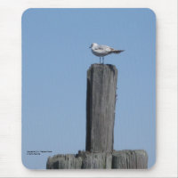 Seagull mousepad