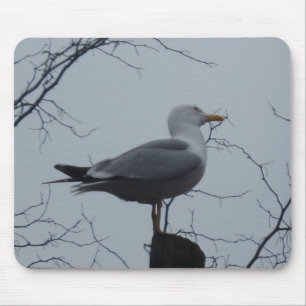 Seagull Mousepad