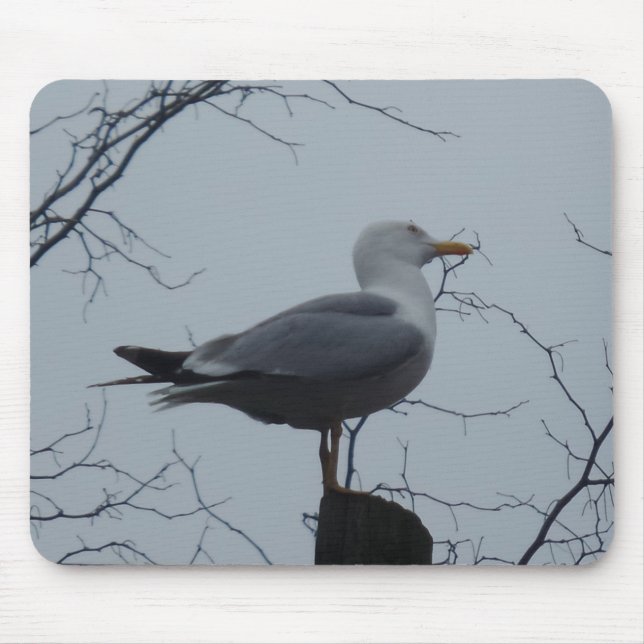 Seagull Mousepad (Front)