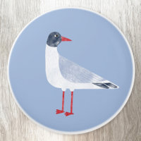 Seagull Nautical Shore Bird
