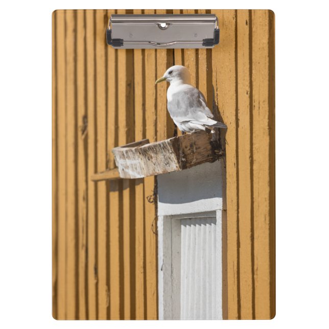 Seagull Norwegian House Clipboard (Front)