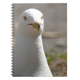 Seagull Notebook