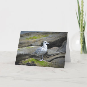 Seagull Notecard