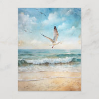 Seagull Ocean Bird Beach Coastal 