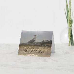 Seagull on a Pier at Whitby, England Note Card