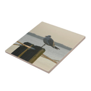 Seagull on a Post Ceramic Tile
