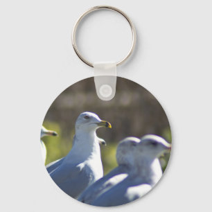 Seagull on a Rail Key Ring