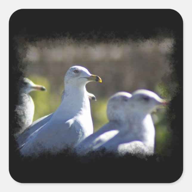 Seagull on a Rail Square Sticker (Front)