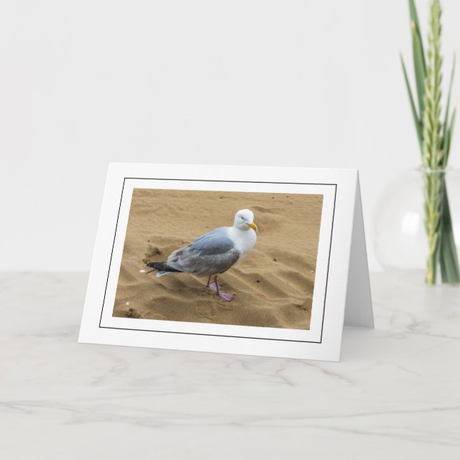 Seagull on a sandy beach greeting card (Front)