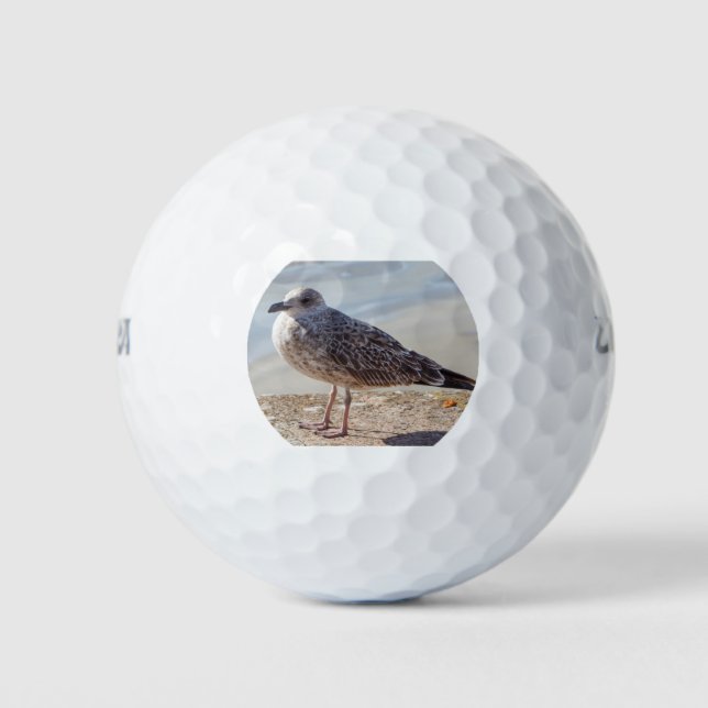 Seagull on a wall golf balls (Front)