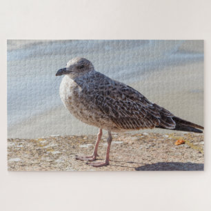 Seagull on a wall jigsaw puzzle