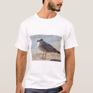 Seagull on a wall T-Shirt