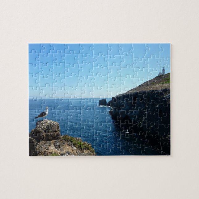 Seagull on Anacapa Island at Channel Islands Jigsaw Puzzle (Horizontal)