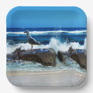 Seagull On Beach Rocks, Paper Plate