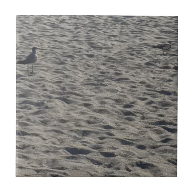 Seagull on Cocoa Beach Ceramic Tile (Front)