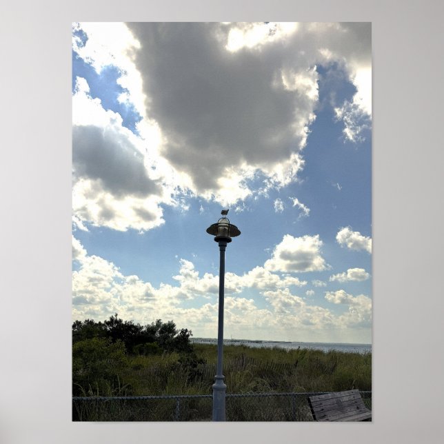 Seagull on Light Poster (Front)