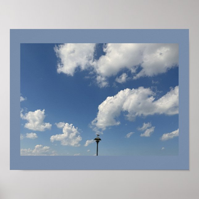 Seagull on Light Poster (Front)