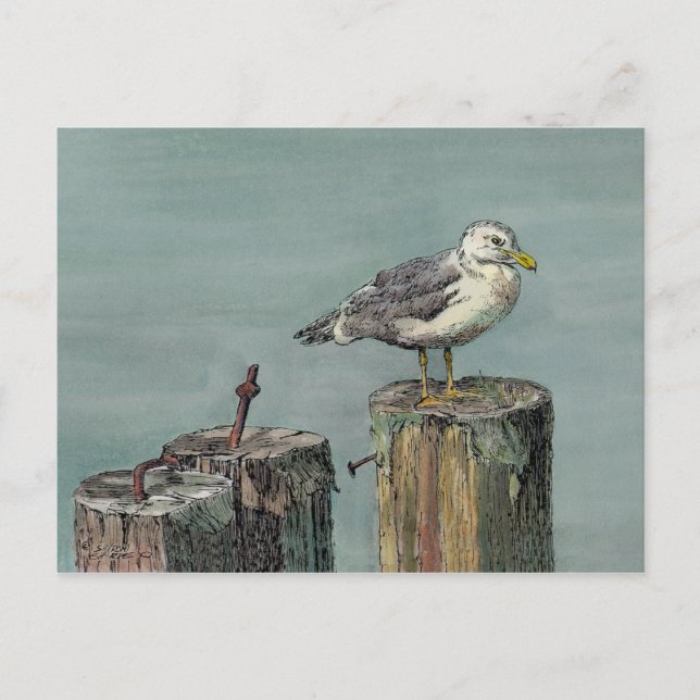 SEAGULL on PILING by SHARON SHARPE Postcard (Front)