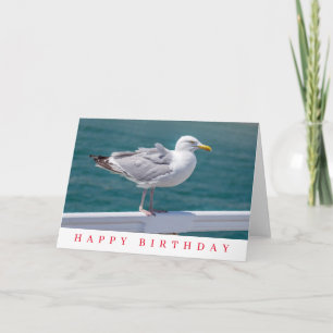 Seagull on railings birthday card
