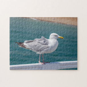 Seagull on railings puzzle