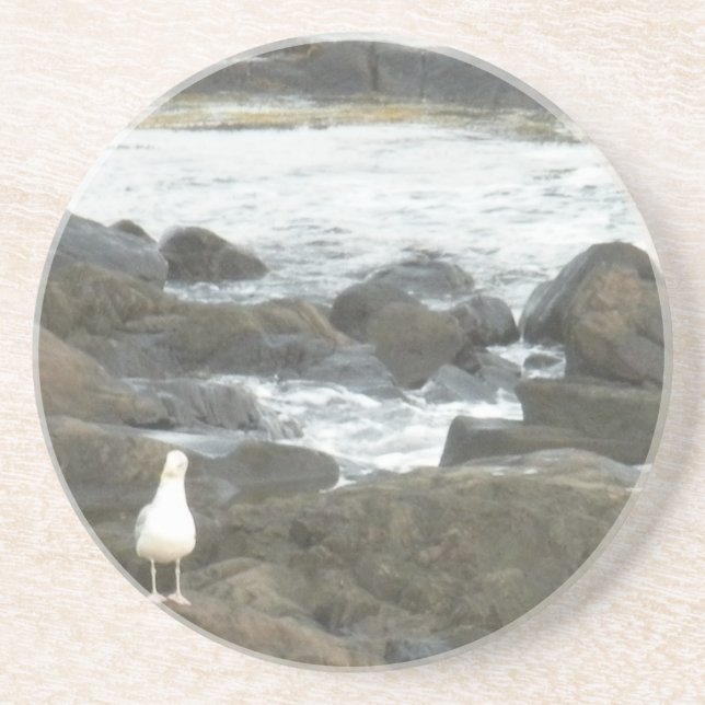 Seagull on rocks coaster (Front)