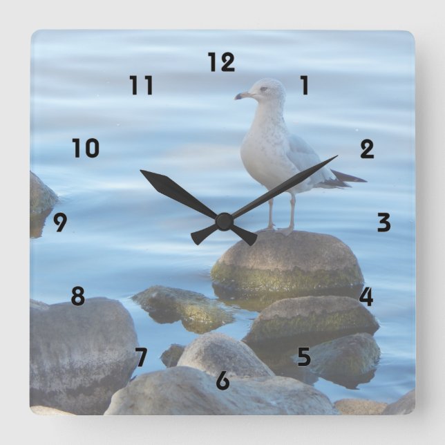 Seagull on Rocks Square Wall Clock (Front)