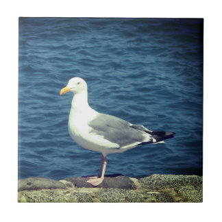 Seagull On The Bay Ceramic Tile