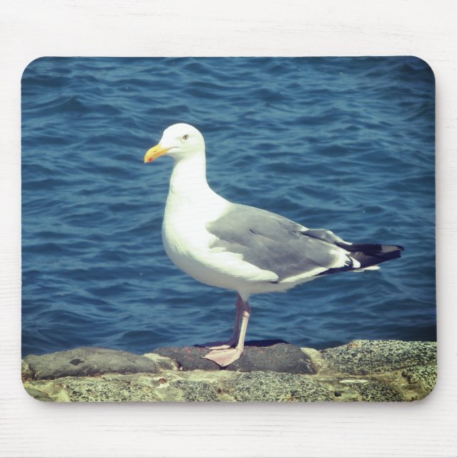 Seagull On The Bay Mouse Pad (Front)
