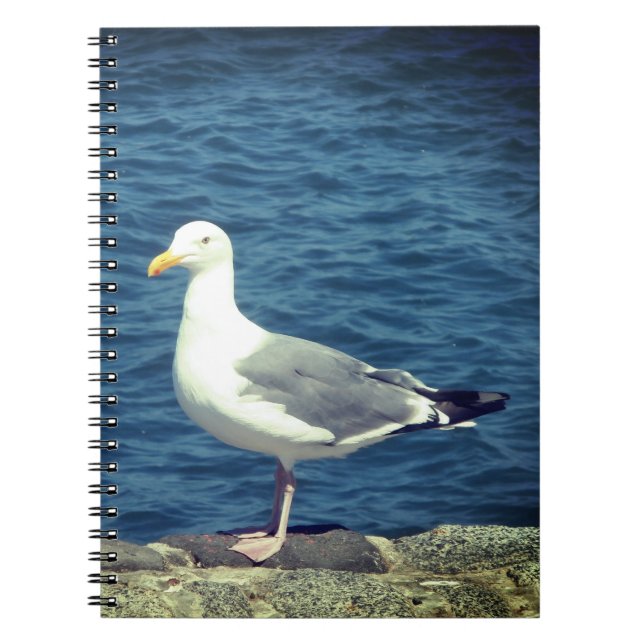 Seagull On The Bay Notebook (Front)