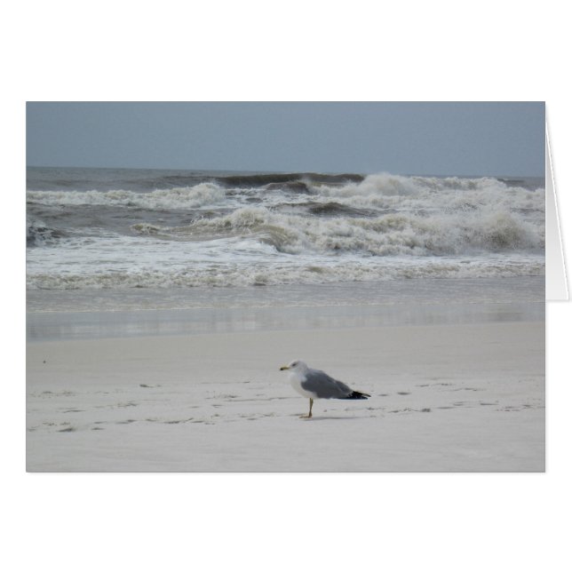 Seagull on the Beach (Front Horizontal)