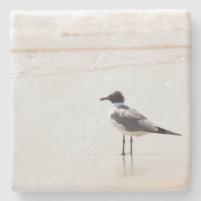 Seagull on the Beach Limestone Coaster (Front)
