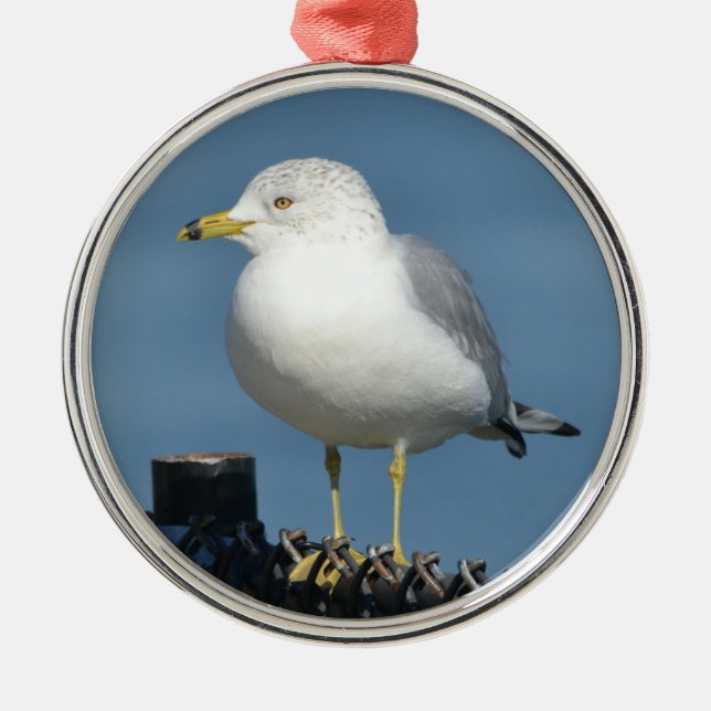 Seagull Ornament (Front)