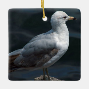 Seagull Ornament