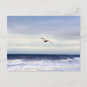 Seagull Over Waves Postcard