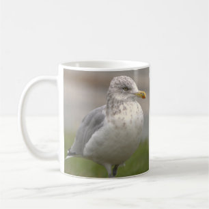 Seagull Photo Mug