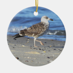 Seagull Photo Ornament