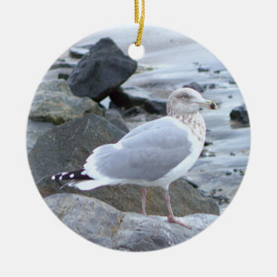 Seagull Photo Ornament 
