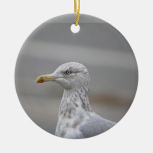 Seagull Photo Ornament 