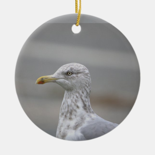 Seagull Photo Ornament  (Front)