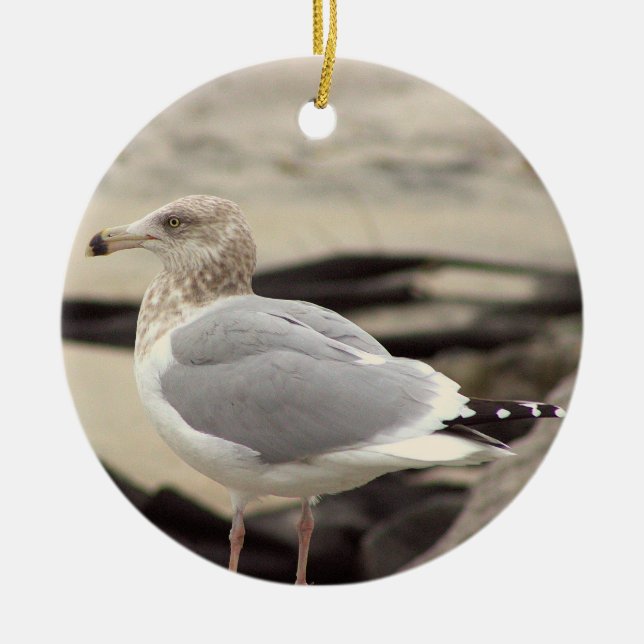 Seagull Photo Ornament  (Front)
