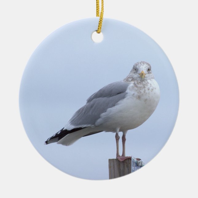 Seagull Photo Ornament  (Front)