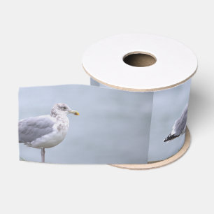 Seagull Photo Ribbon Grosgrain Ribbon