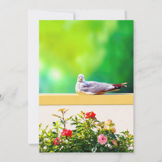 Seagull Photography Card, Coastal Nature Gift, Ins Thank You Card