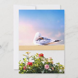 Seagull Photography Card, Coastal Nature Gift, Ins Thank You Card